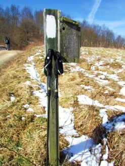 Komperdell Carbon Ultralite Compact -Survival Gear Hub 095