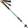 REI Hiker Shocklight Staff