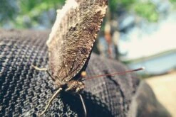 Olympus TG-2 IHS -Survival Gear Hub 1064456 10201494121418238 922246598 o