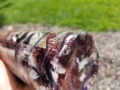 EcoVessel The Boulder Insulated -Survival Gear Hub 20190820 161349