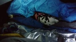 UST Survival Blanket 2.0 -Survival Gear Hub Camping