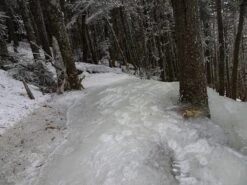 Komperdell Adventure Powerlock Foam Compact -Survival Gear Hub DSC08602