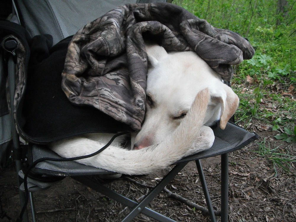 ALPS Mountaineering Lightweight Series Self Inflating Air Pads 21 ALPS Mountaineering Lightweight Series Self Inflating Air Pads - Image 19