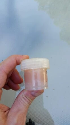 Coghlan's Fire Paste -Survival Gear Hub Firepaste Can