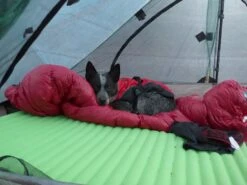 Zpacks Duplex Tent -Survival Gear Hub P1010508