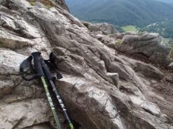 Leki Quantum -Survival Gear Hub P8186412