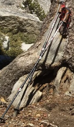 Leki Corklite -Survival Gear Hub Poles on tree Great West Divide2