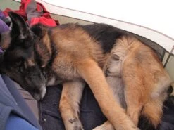 Big Agnes Copper Hotel HV UL2 -Survival Gear Hub Ralph rests