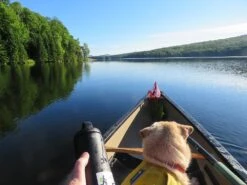 RTIC 18oz Bottle -Survival Gear Hub early solo june green river 26