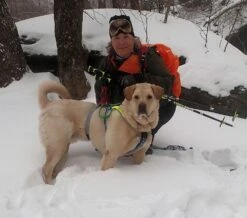 Leki Tour Stick Trigger S -Survival Gear Hub griff notch profile