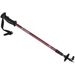 Swiss Gear Hiking Pole