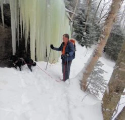 Tubbs 3-Part Snowshoe Poles -Survival Gear Hub laraway 25