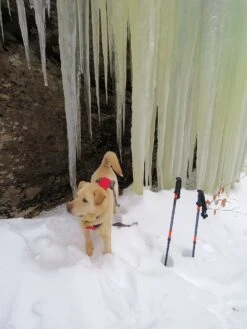 Tubbs 3-Part Snowshoe Poles -Survival Gear Hub laraway 9