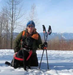 Tubbs 3-Part Snowshoe Poles -Survival Gear Hub rez jan sunset poles