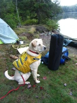 ALPS Mountaineering Lightweight Series Self Inflating Air Pads 34 ALPS Mountaineering Lightweight Series Self Inflating Air Pads -Survival Gear Hub site 4 mat 1